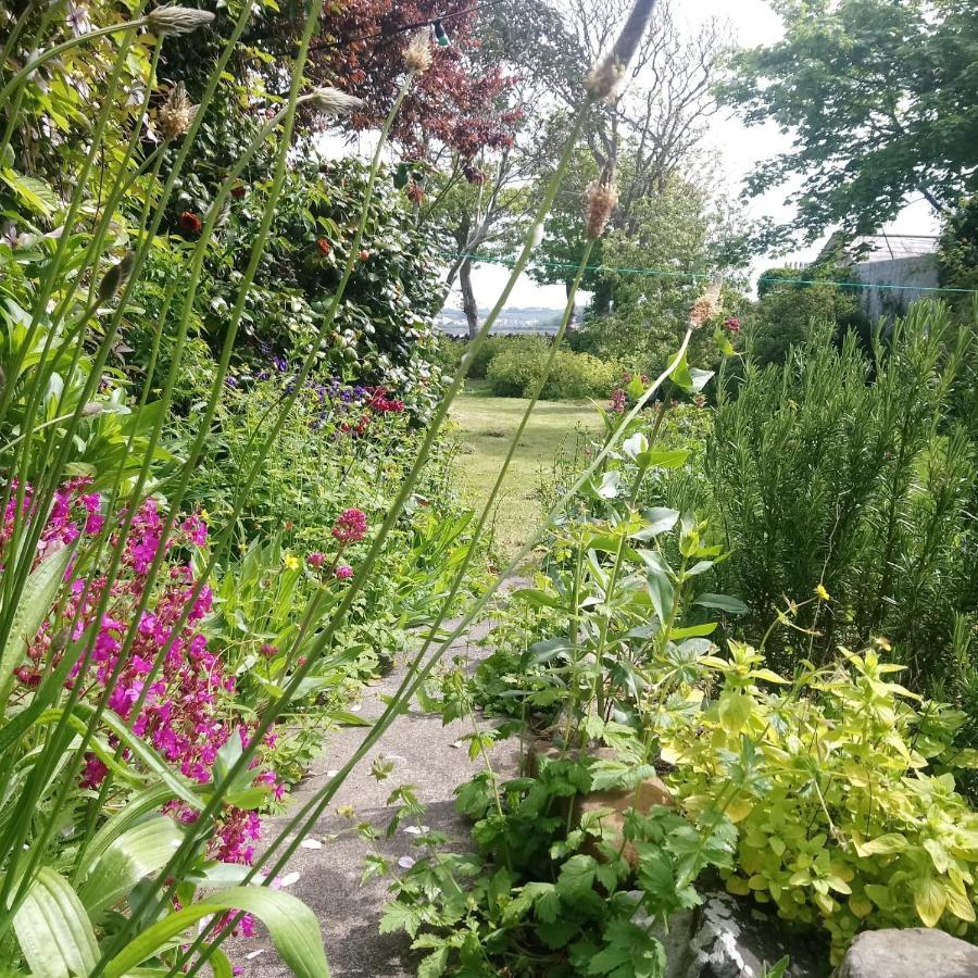 Unique Townhouse With Large Garden Down To The Sea Killough Exterior foto